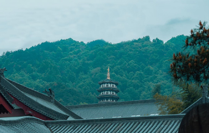 文旅