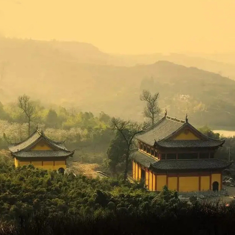 浙江省绍兴市嵊州市普安寺