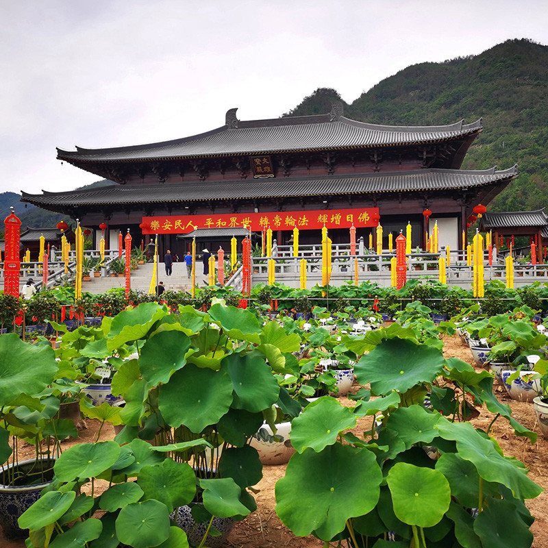 浙江台州天台护国寺